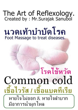 โรคไข้หวัด-หน้าปก-ookbee