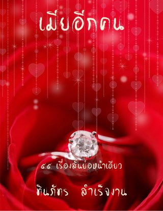 เมียอีกคน-หน้าปก-ookbee