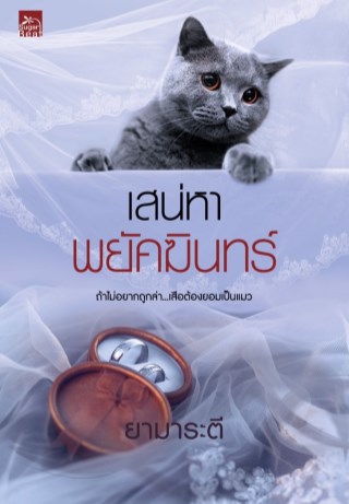 เสน่หาพยัคฆินทร์-หน้าปก-ookbee