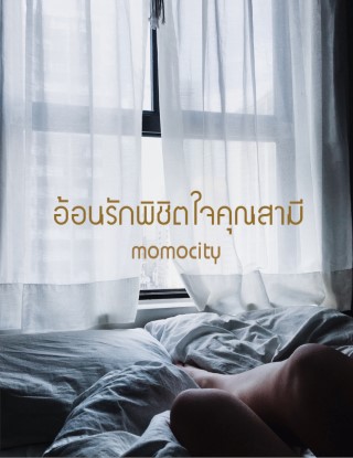 หน้าปก-อ้อนรักพิชิตใจคุณสามี-ookbee