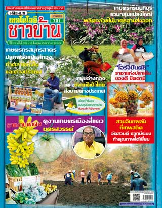 เทคโนโลยีชาวบ้าน-15-31-august-2019-หน้าปก-ookbee