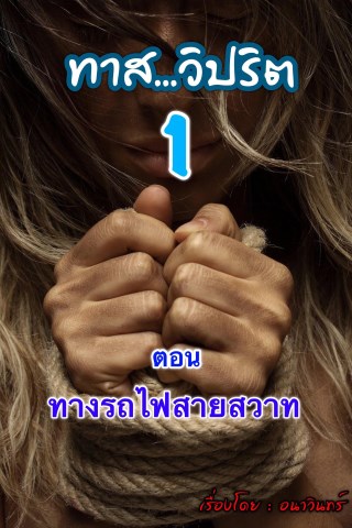 ทาสวิปริต-1-ตอน-ทางรถไฟสายสวาท-หน้าปก-ookbee