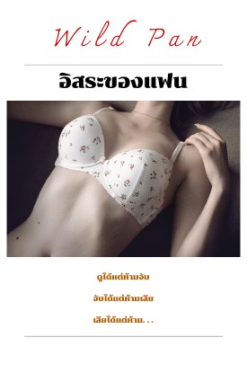 อิสระของแฟน-หน้าปก-ookbee