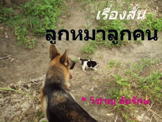 ลูกหมาลูกคน-หน้าปก-ookbee