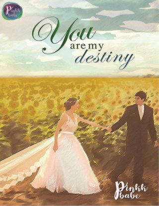 you-are-my-destiny-หน้าปก-ookbee